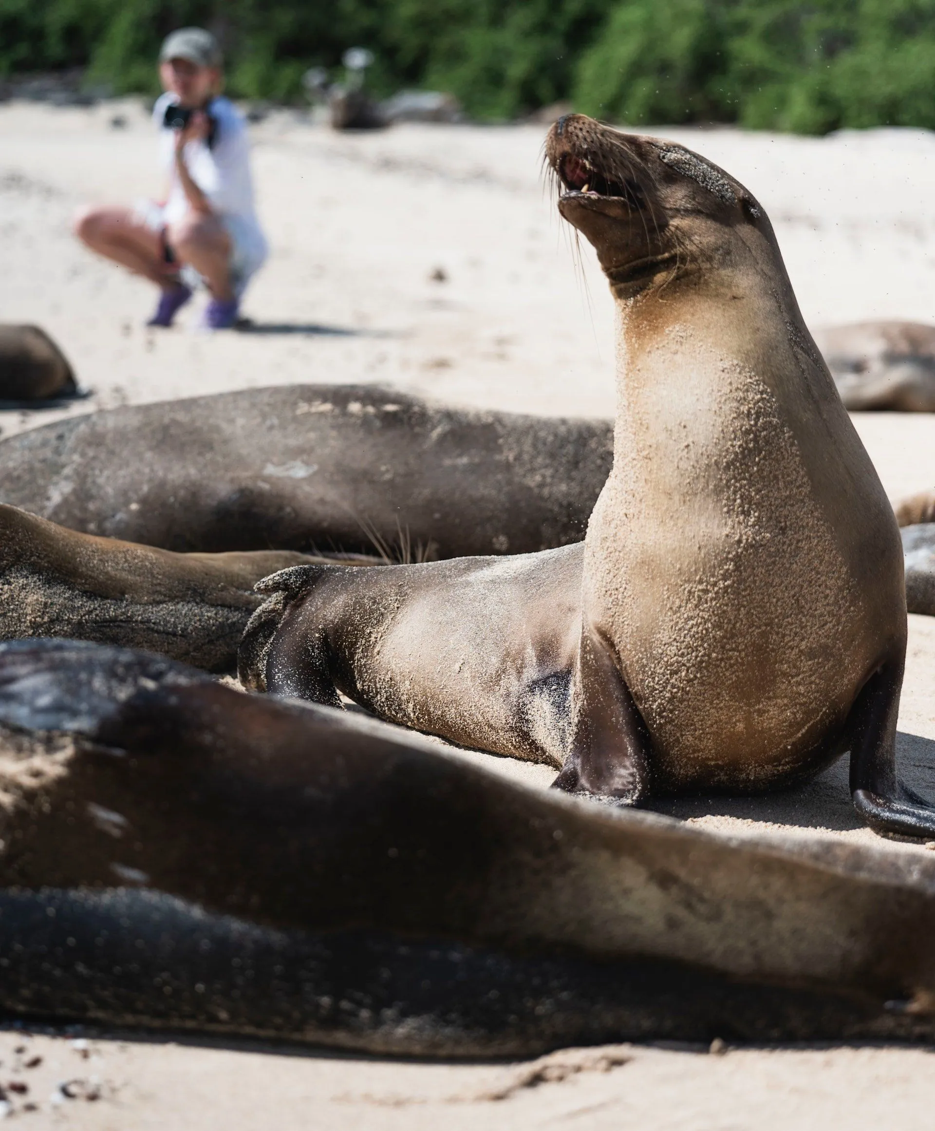 andBeyond Galápagos Explorer — Eindruck 9