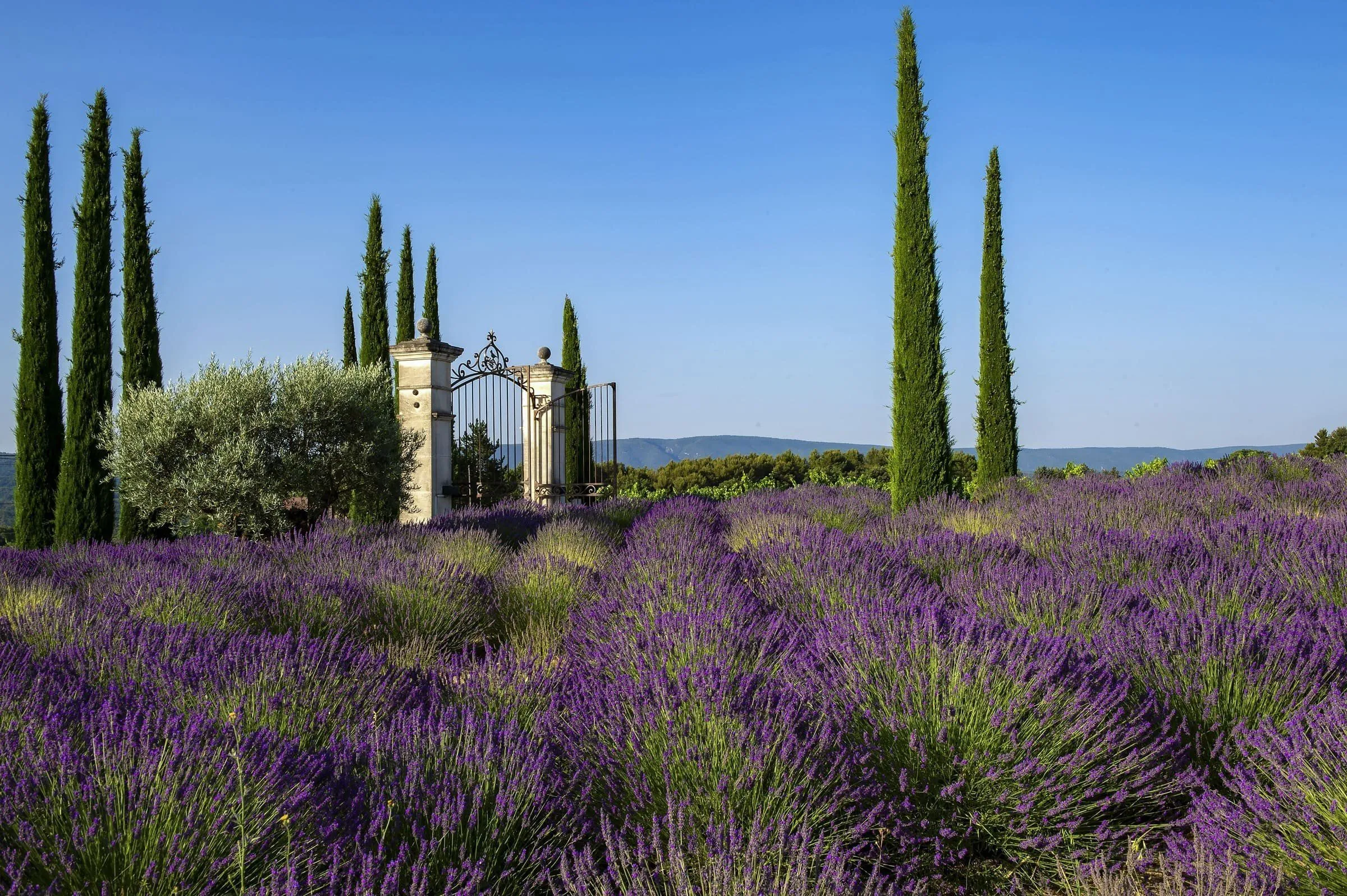 Coquillade Provence — Eindruck 18