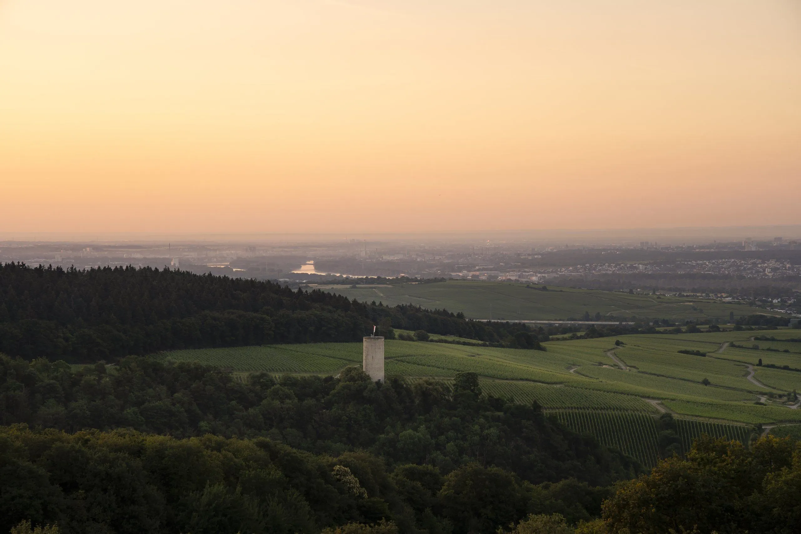 WALD.WEIT Rheingau — Eindruck 6