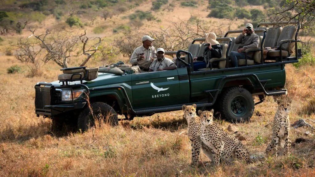 andBeyond Phinda Private Game Reserve — Eindruck 15