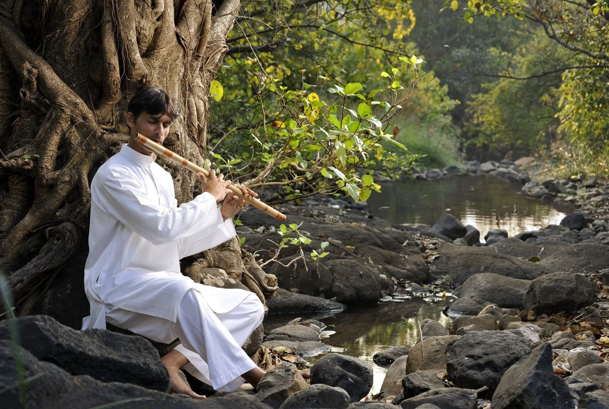 Dharana at Shillim — Eindruck 13