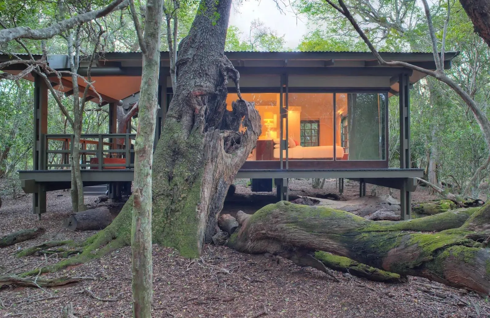 andBeyond Phinda Private Game Reserve — Eindruck 7
