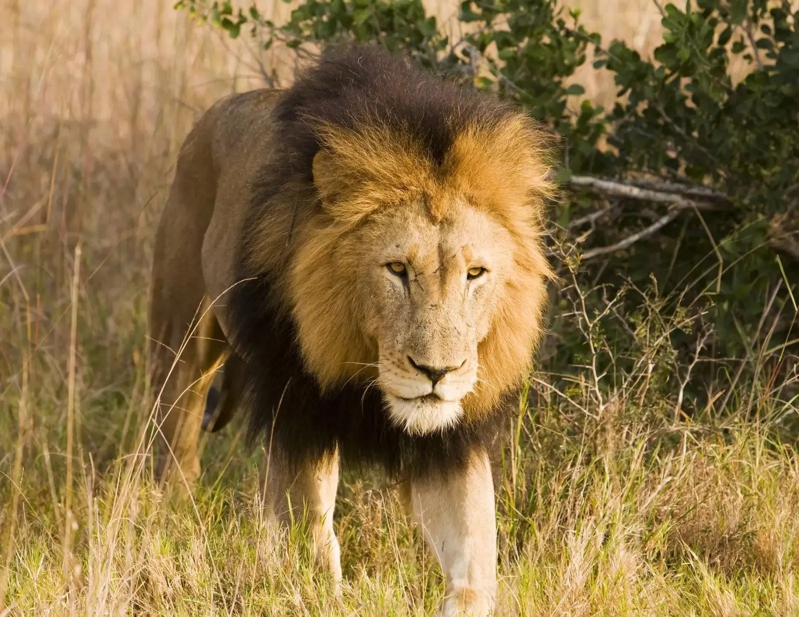 andBeyond Phinda Private Game Reserve — Eindruck 5