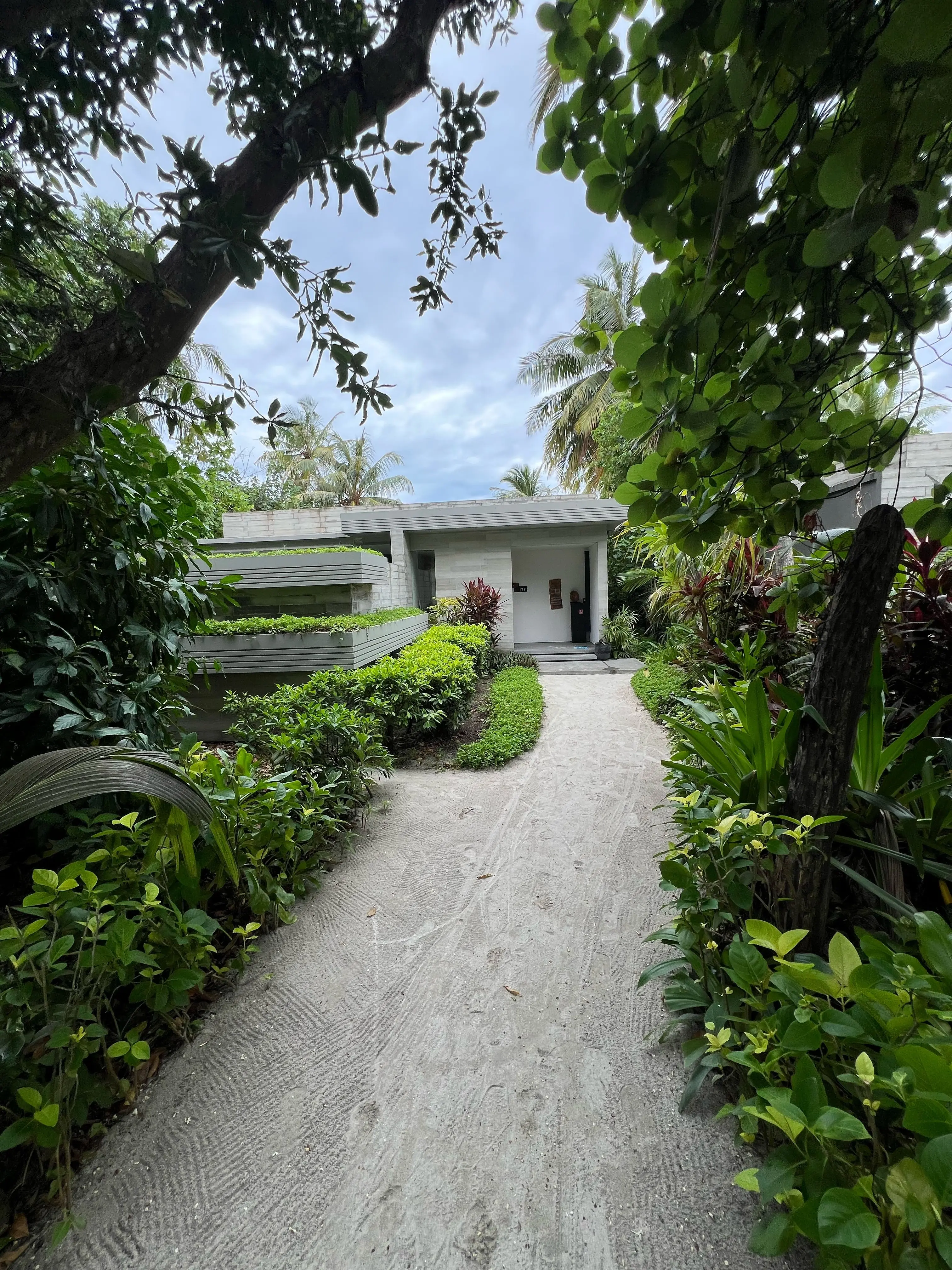 Ein Sandweg führt zwischen Bäumen und Sträuchern zu einer hellen Villa mit begrünten Vorsprüngen.