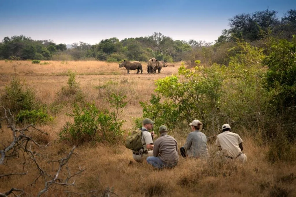 andBeyond Phinda Private Game Reserve — Eindruck 14