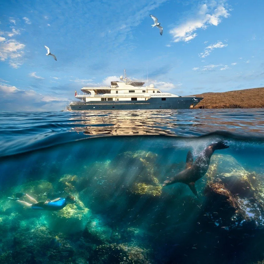 andBeyond Galápagos Explorer — Eindruck 17