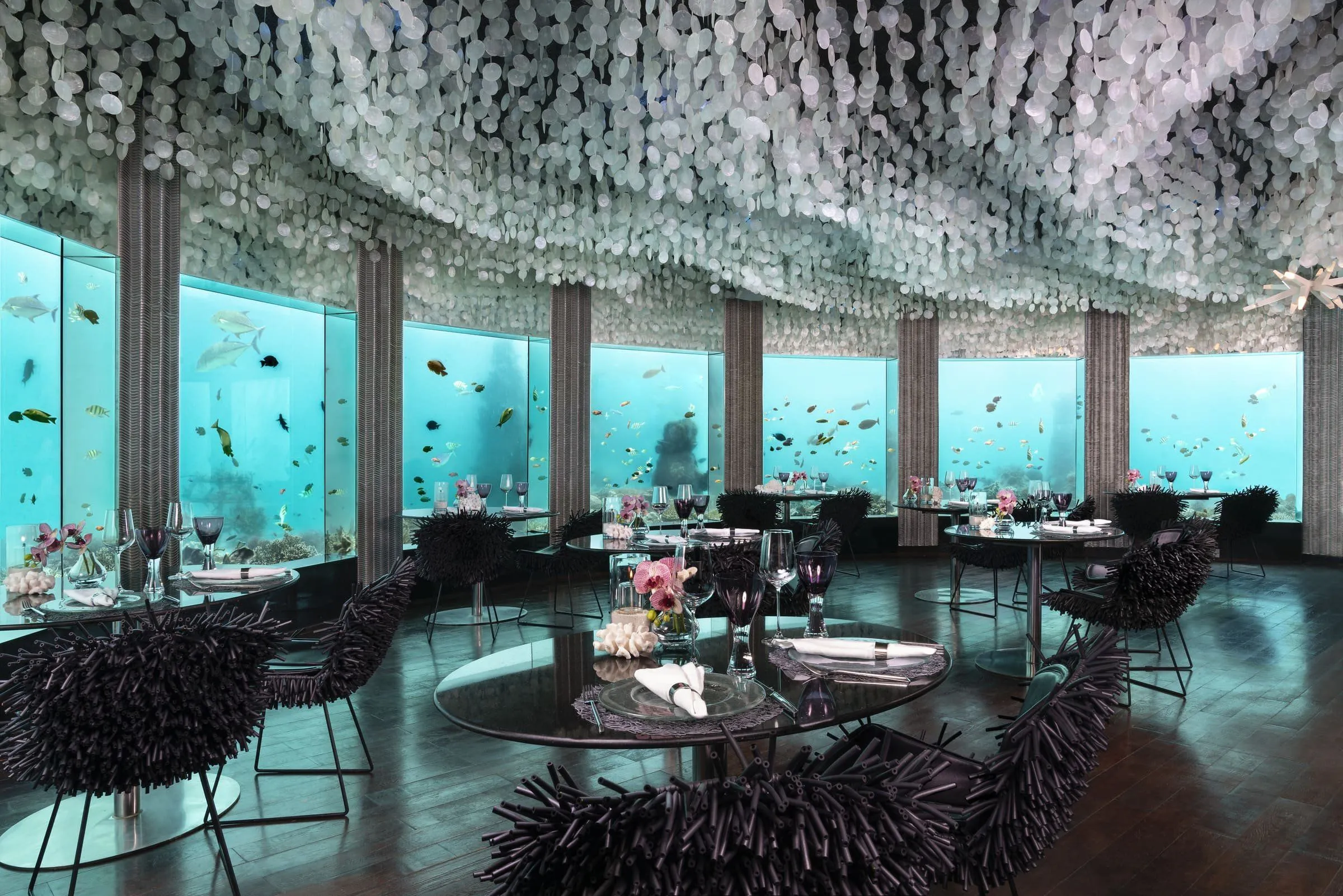 Niyama Private Islands — Eindruck 18