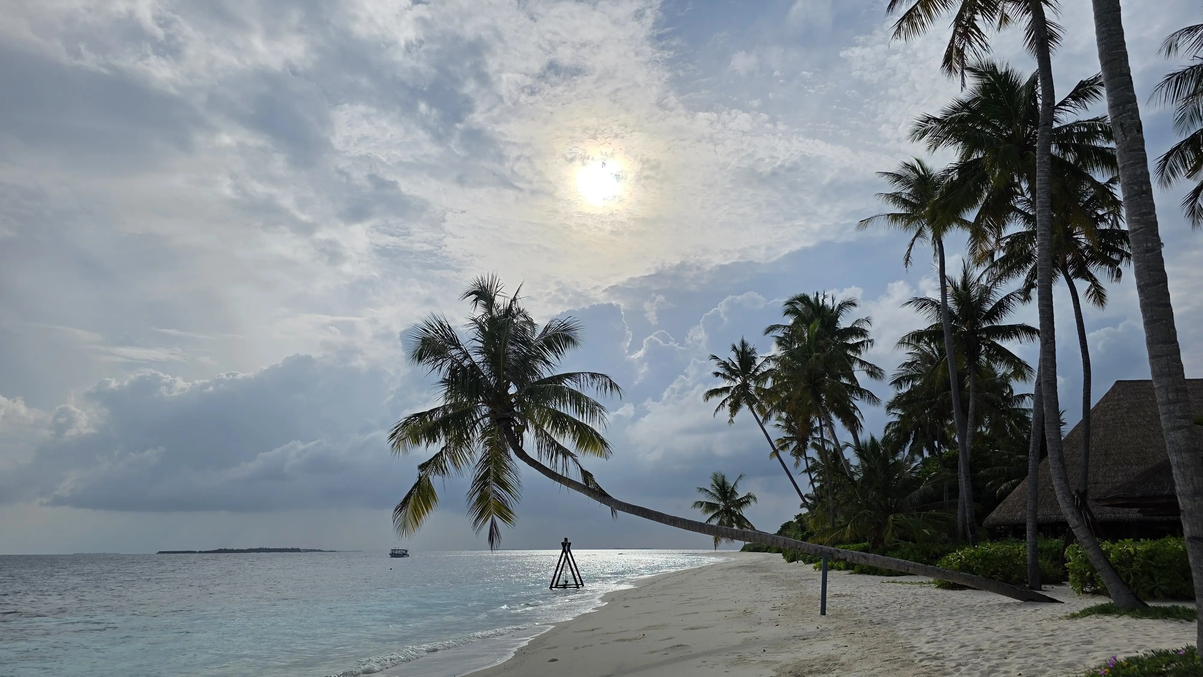 Palmen an einem hellen Sandstrand, eine Palme neigt sich weit über das Wasser, die Sonne scheint durch Wolken.