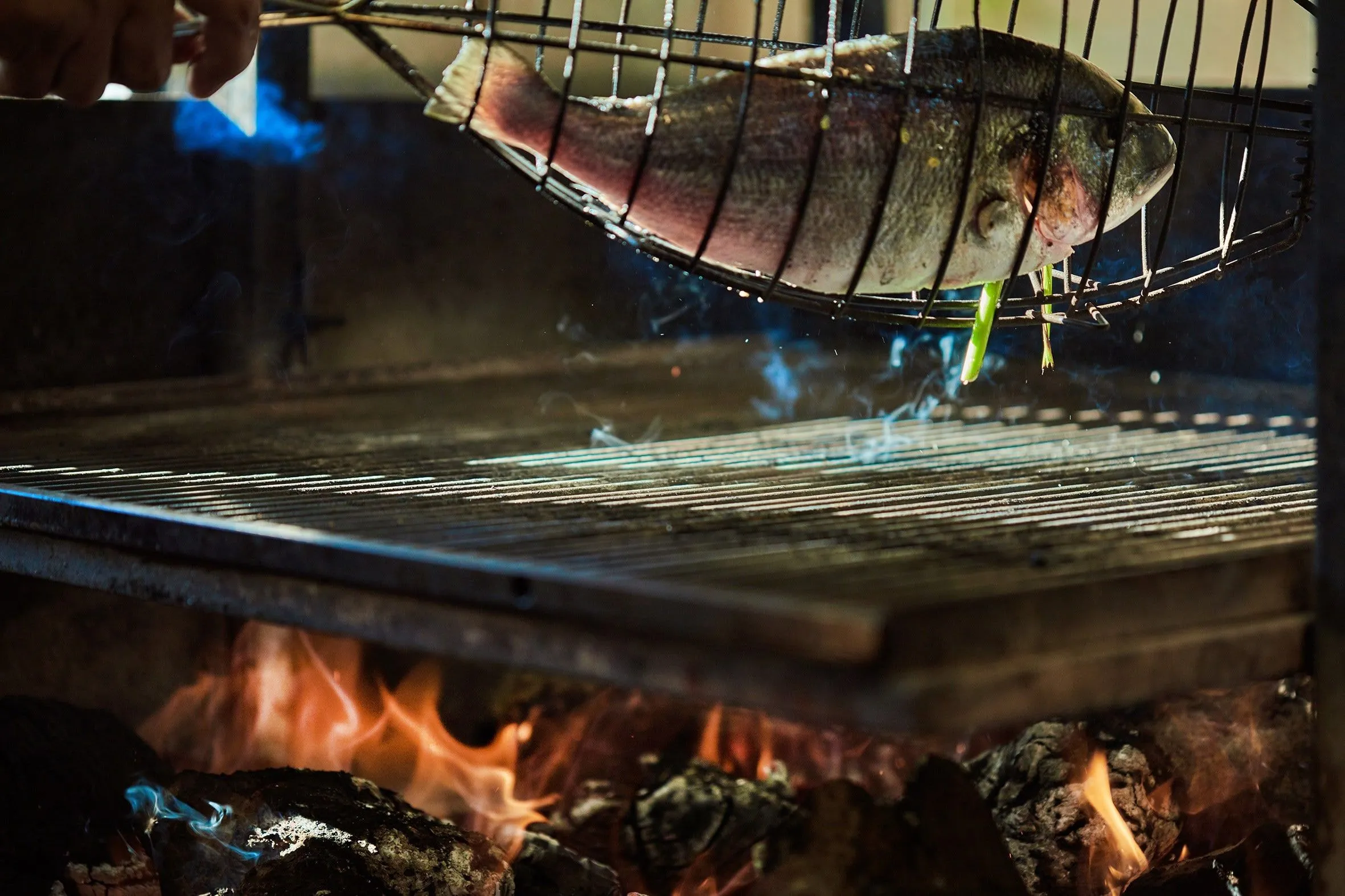Ein ganzer Fisch in einem Grillkorb, von einer Hand über einen Grillrost gehalten, darunter Flammen und Holzkohle
