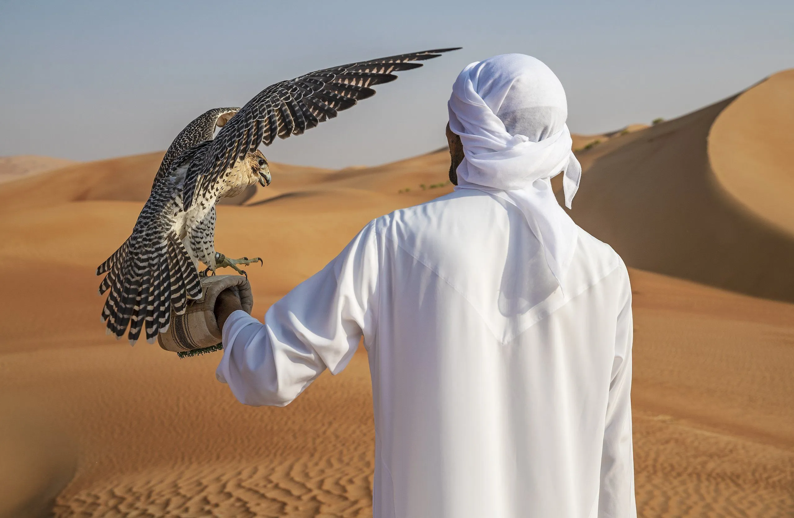 Qasr Al Sarab Desert Resort by Anantara — Eindruck 3