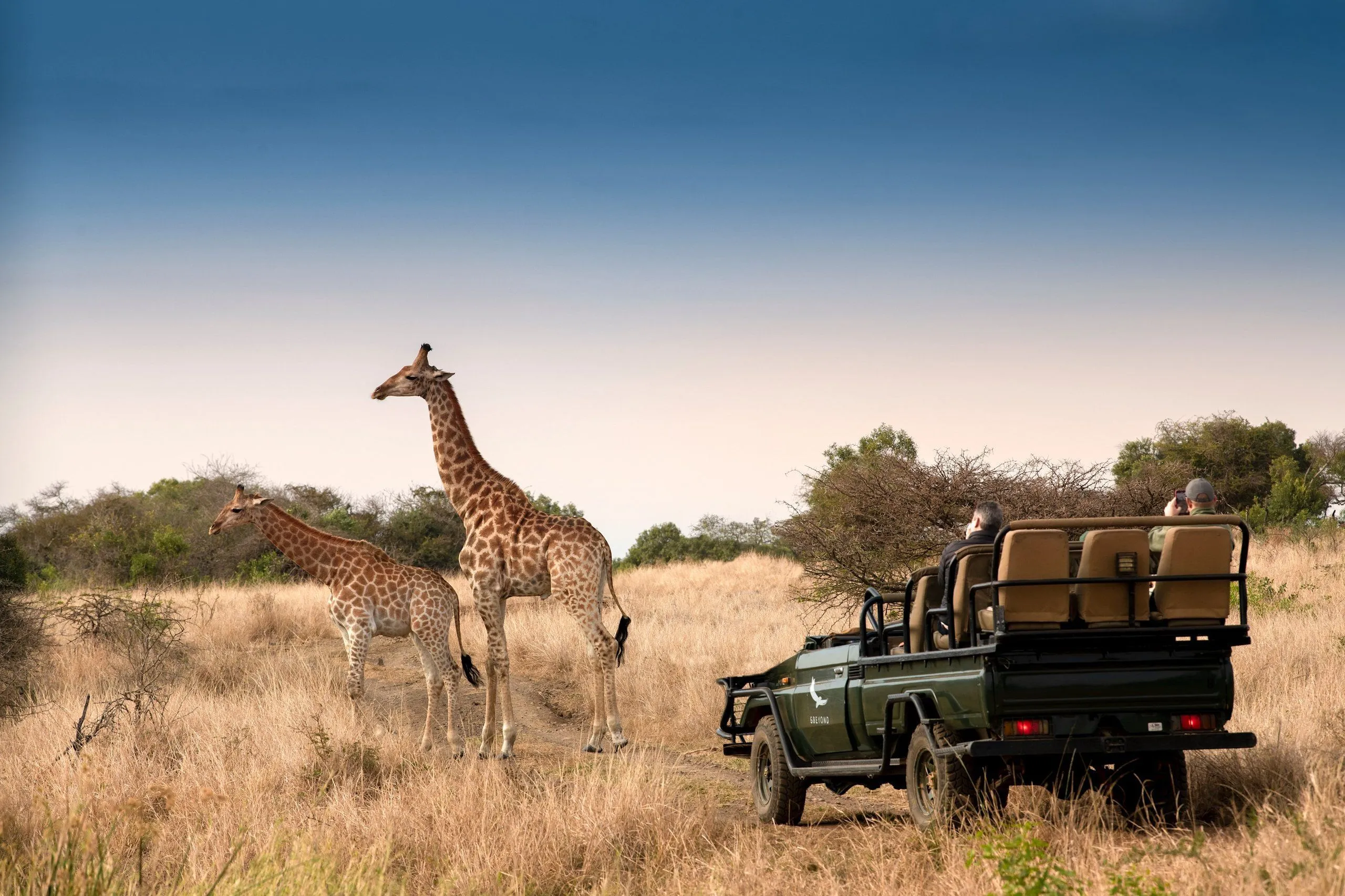 andBeyond Phinda Private Game Reserve — Eindruck 1