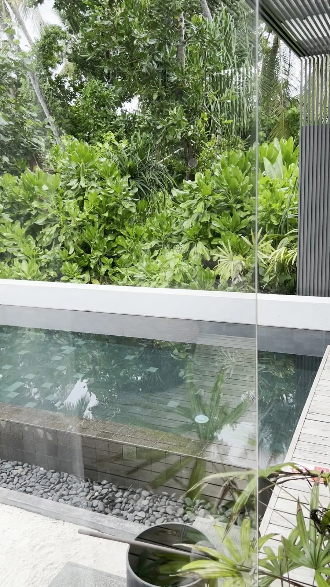 Hinter einer Glasscheibe liegt ein rechteckiger Pool vor dichtem Grün, daneben stehen schwarze Lamellen.