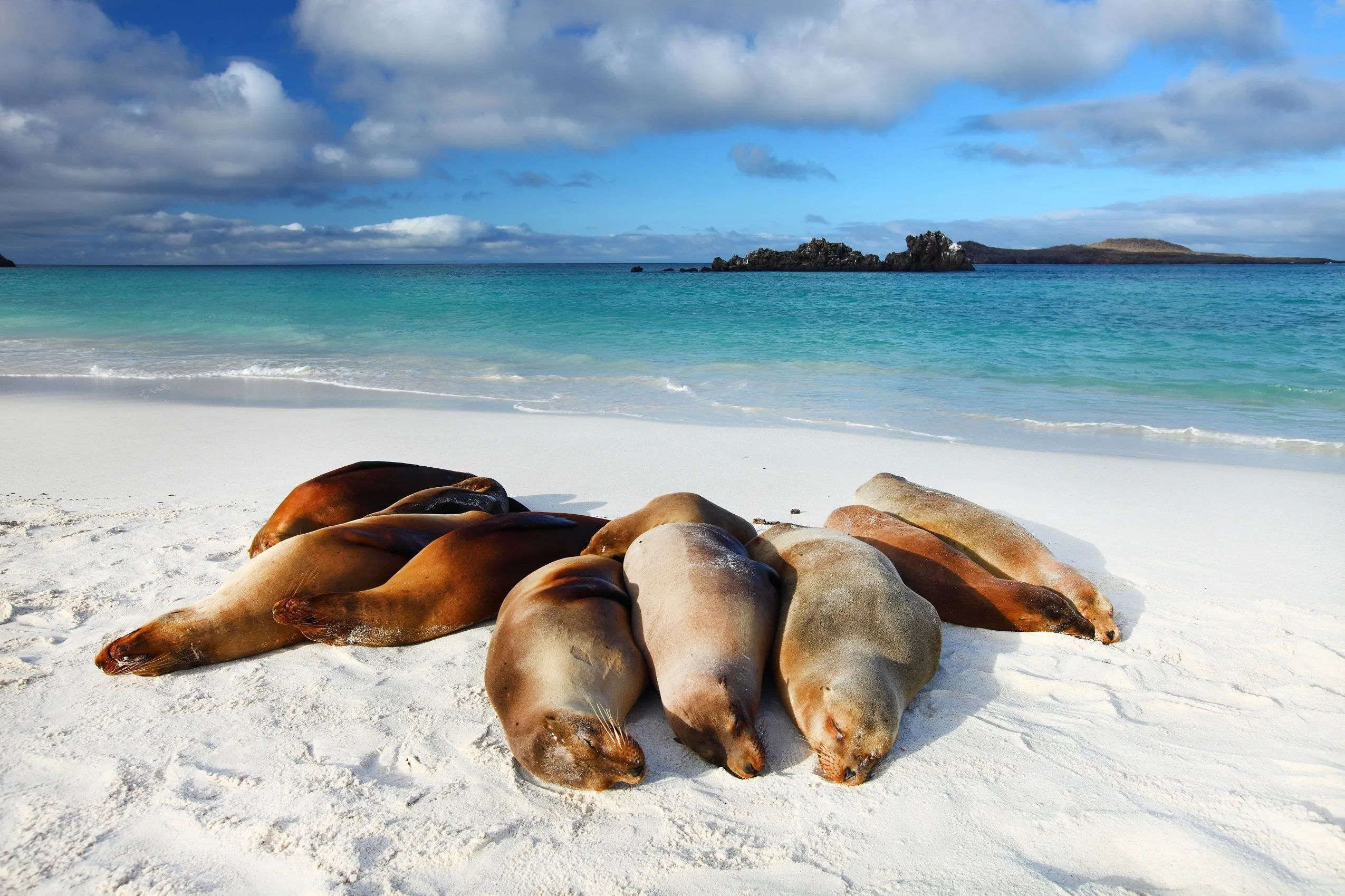 andBeyond Galápagos Explorer — Eindruck 7