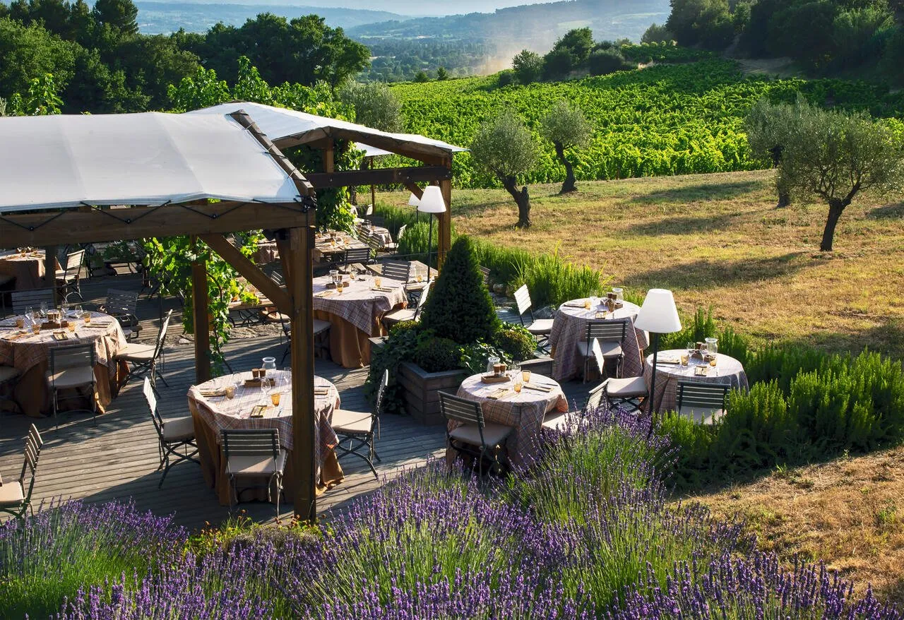 Coquillade Provence — Eindruck 7