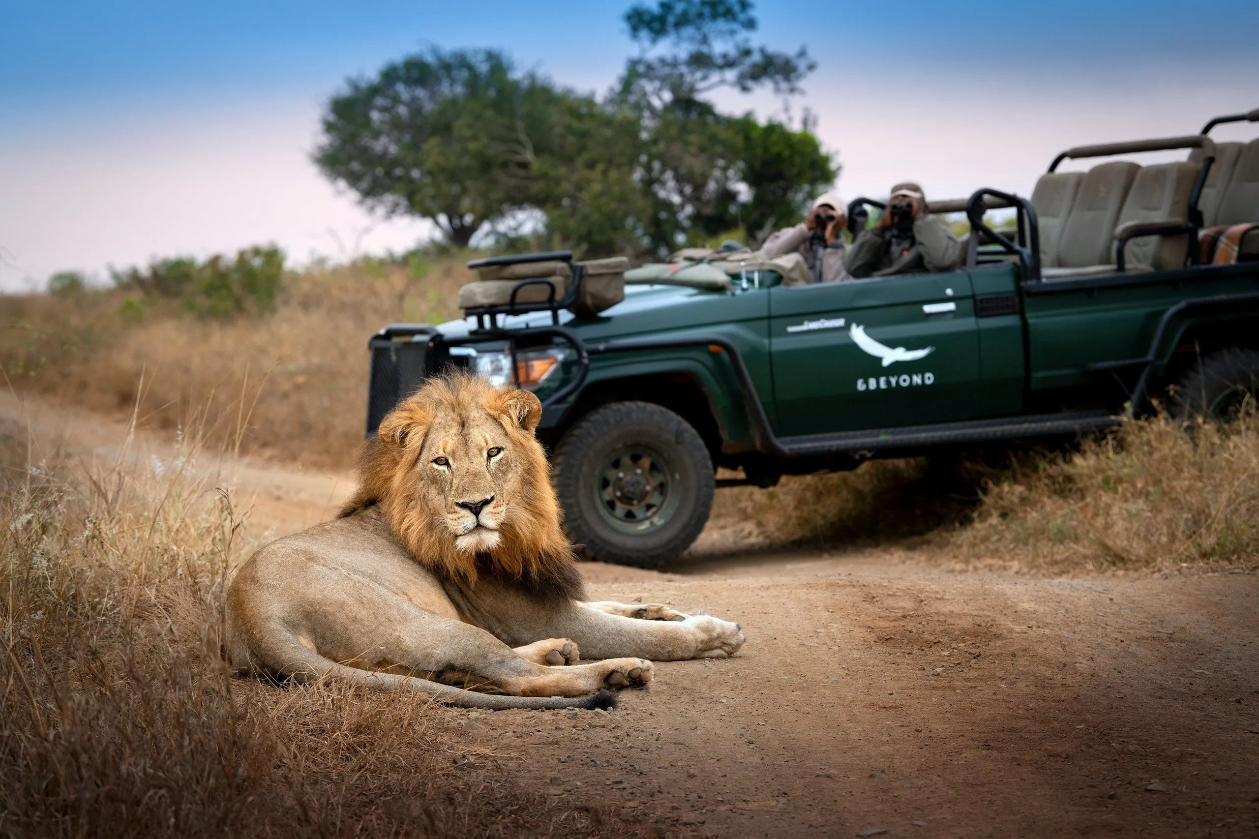 andBeyond Phinda Private Game Reserve — Eindruck 2