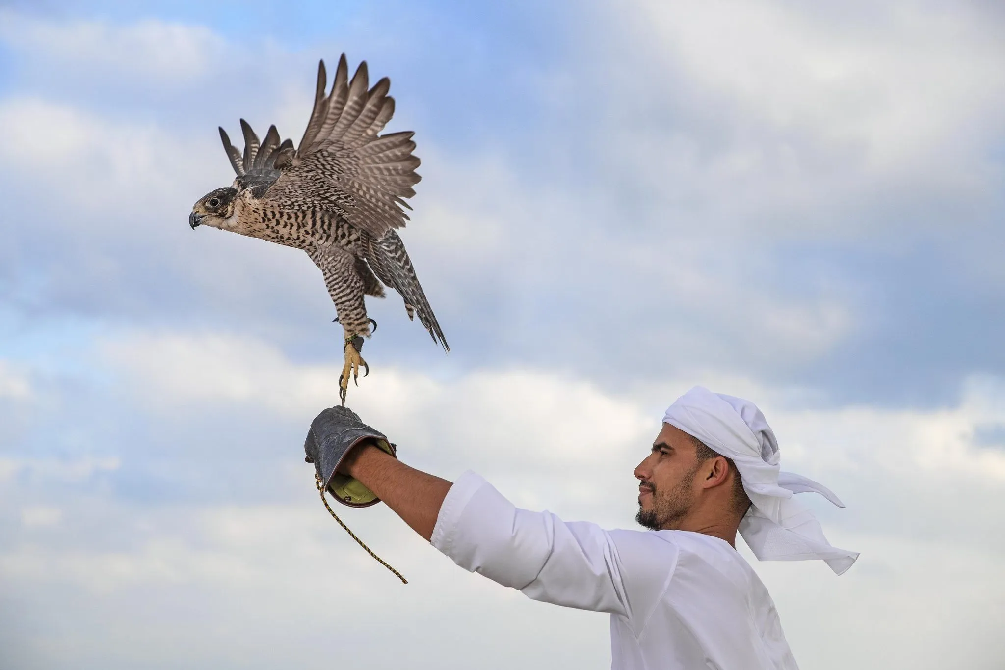 Anantara Sir Bani Yas Island — Eindruck 17